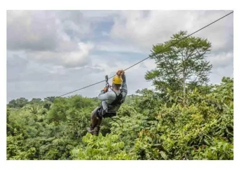 Fiji Zipline Adventure Tour – Explore Hidden Waterfalls & Scenic Views!
