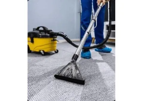 Professional Carpet Cleaning in Arncliffe