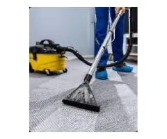 Professional Carpet Cleaning in Arncliffe