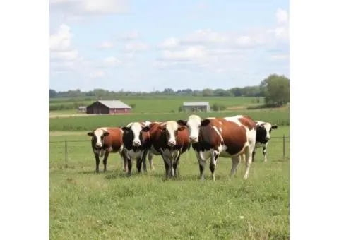 Secure your farm's future. Start planning now!