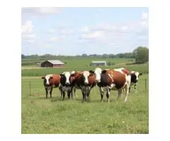 Secure your farm's future. Start planning now!