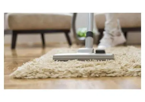 What Is a Professional Rug Cleaning Service? - 2/4