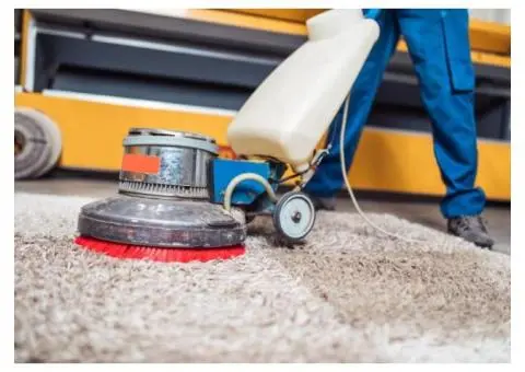 What Is a Professional Rug Cleaning Service? - 4/4