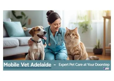 Creative & Functional Office Interior Design Brisbane