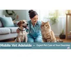 Creative & Functional Office Interior Design Brisbane