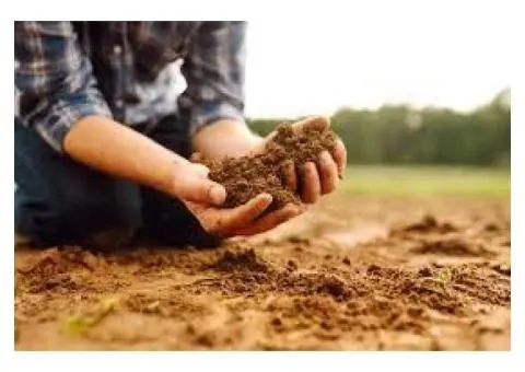 Sodic soil Australia