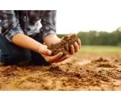 Sodic soil Australia