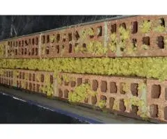 Insulation Installation Adelaide