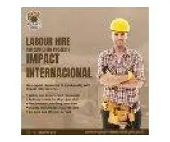 Quality Carpenters for Every Project – Impact Internacional