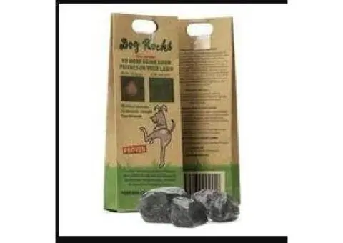 Buy Dog Rocks Online
