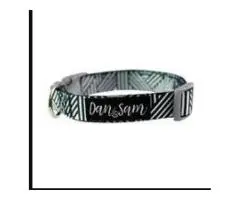 Dan & Sam Pet Apparel and Accessories
