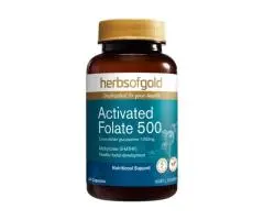 Planning Pregnancy or Need Energy Support? Try Herbs of Gold Activated Folate 500