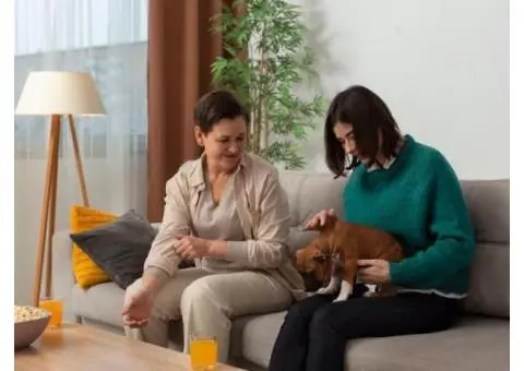 Trusted SIL Housing in Wollongong by Uniting Healthcare