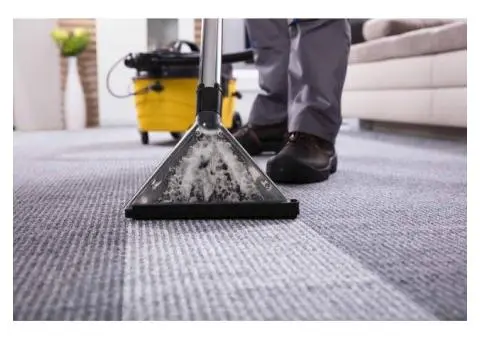 Expert Carpet, Rug & Upholstery Cleaning – Trusted in Sutherland Shire