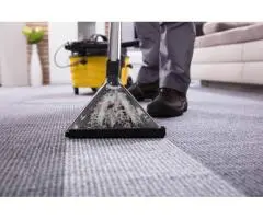 Expert Carpet, Rug & Upholstery Cleaning – Trusted in Sutherland Shire