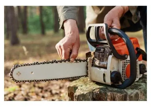 Safe & Clean Stump Grinding in Gold Coast by Tree Essence