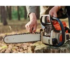 Safe & Clean Stump Grinding in Gold Coast by Tree Essence