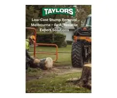 Low-Cost Stump Removal Melbourne – Fast, Reliable Expert Solutions