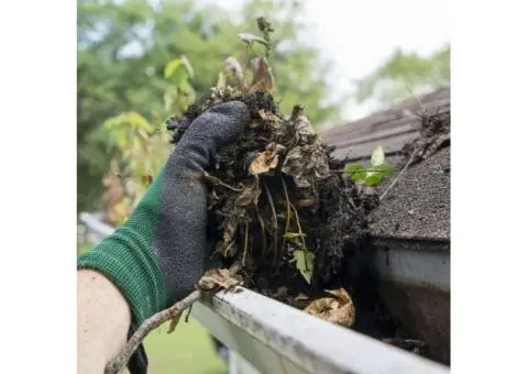Affordable & Reliable Gutter Cleaning in Inner West