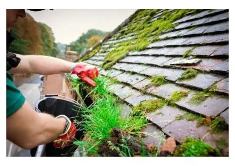 Expert Gutter Cleaning & Maintenance in Sydney