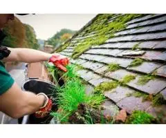 Expert Gutter Cleaning & Maintenance in Sydney