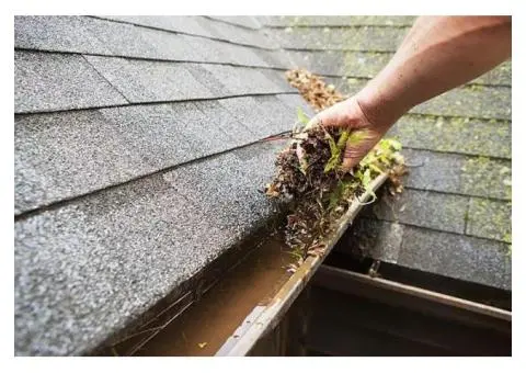 Professional Gutter Cleaning Services in Wollongong