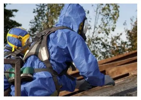 Trusted Asbestos Removal Services in Brisbane - 2/2