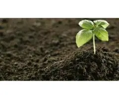 Soil Dynamics High-Quality Soil Fertiliser To Have Healthier Stronger Gardens.