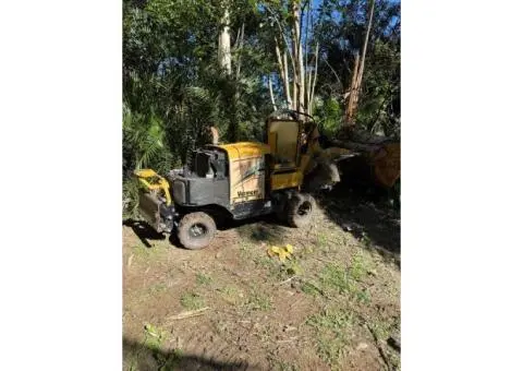 Stump Grinding Gold Coast – Fast & Affordable