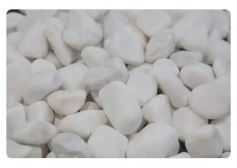 Searching for Durable White Pebbles That Last and Look Beautiful?