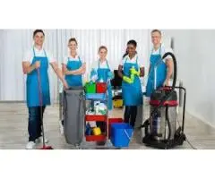 Affordable & Reliable Cleaners Devonport – Your Local Cleaning Experts