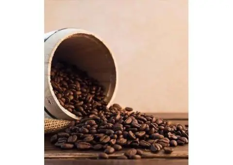 Freshly Roasted Coffee Beans Brisbane Available Now