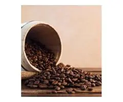 Freshly Roasted Coffee Beans Brisbane Available Now