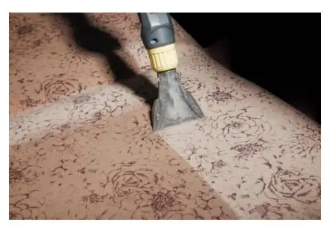 Reliable Couch Cleaning Services in Epping – Squeaky Clean Sofa