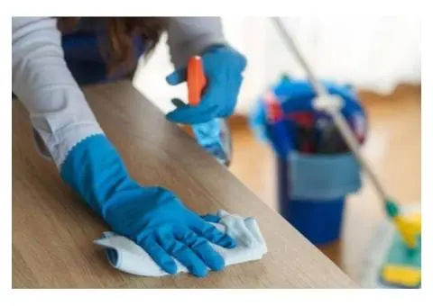Reliable Domestic House Cleaning Near Melbourne With Trusted Care - 2/6