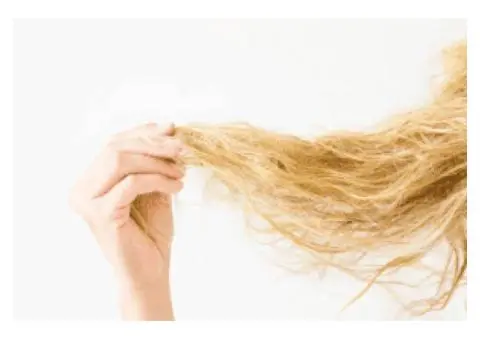 Revive Damaged Strands with Hair Shaft Repair Treatment