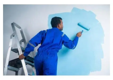 Professional Painters in Brunswick Delivering Exceptional Interior and Exterior Painting Services