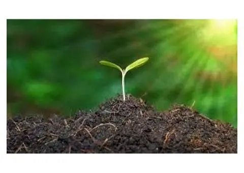 Strong Plant Growth: The use of high-quality Soil Fertiliser in Australia.