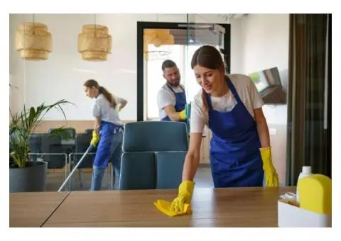 Pressure Cleaning on the Northern Beaches Guide