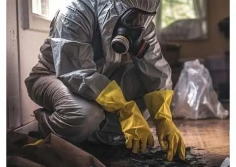 Alan's Deceased Estate Cleaning - 4/7