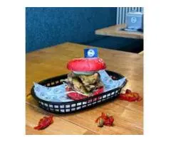 Ground Beef Burgers – A True Classic in Hillside