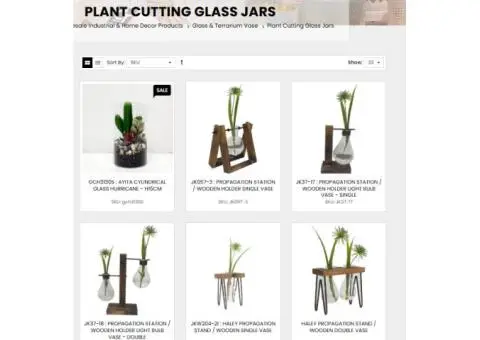 Design Your Own Indoor Garden with Aesthetic Plant Cutting Glass Jars