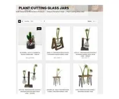 Design Your Own Indoor Garden with Aesthetic Plant Cutting Glass Jars