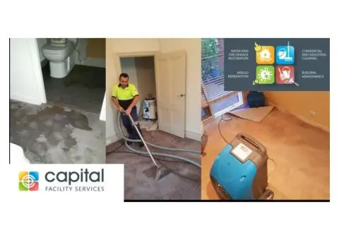 Want Fast and Reliable Water Damage Restoration Service?