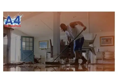 Carpet Drying Services in Melbourne