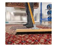 Need Professional Carpet Cleaning in Adelaide? We’ve Got You Covered!