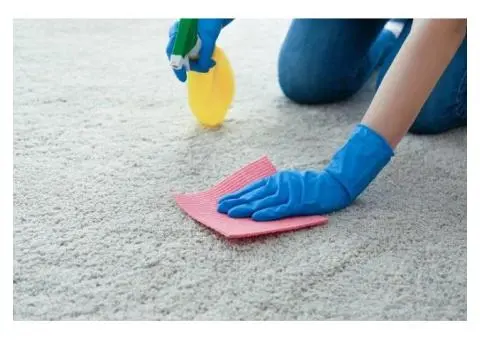 Arncliffe Carpet Cleaning Specialists!