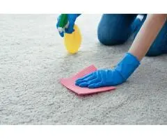 Arncliffe Carpet Cleaning Specialists!