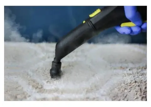 Get Affordable Carpet Steam Cleaning Services for Homes and Businesses
