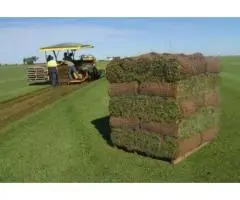 Premium Landscaping Supplies Adelaide – Transform Your Outdoors with The Turf Farm